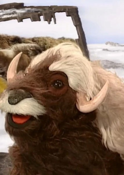 Monica the Musk Ox photo