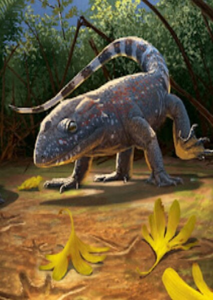 Monjurosuchus