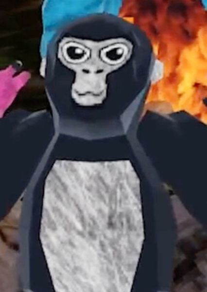Monke photo