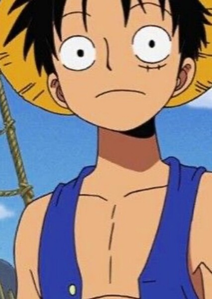 Monkey D. Luffy photo