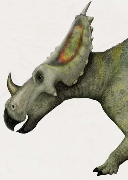 Monoclonius photo