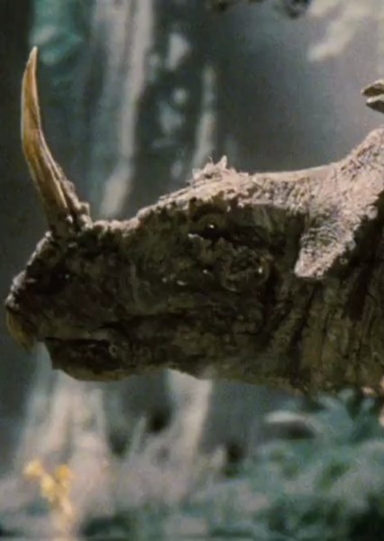 Monoclonius photo