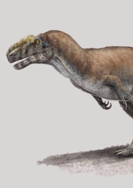 Monolophosaurus photo
