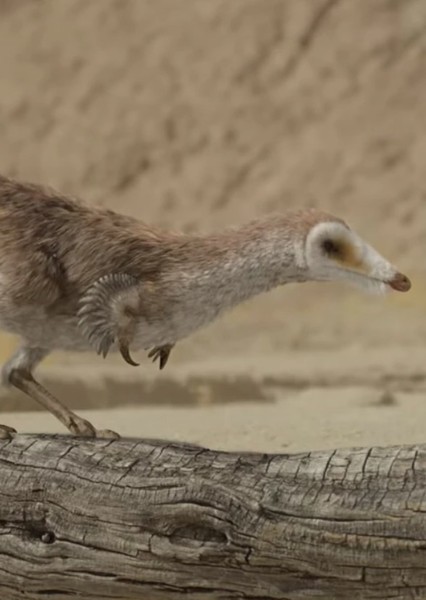 Mononykus photo
