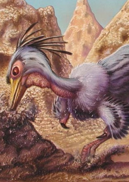 Mononykus photo