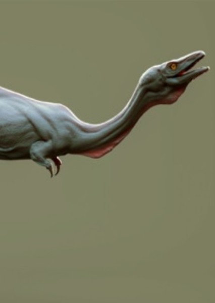 Mononykus photo