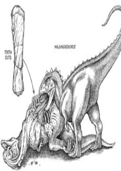 Monstrous Cannibalism