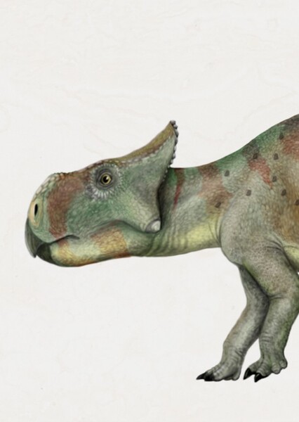 Montanoceratops