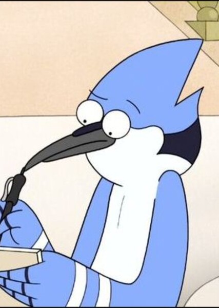 Mordecai (Regular Show) photo