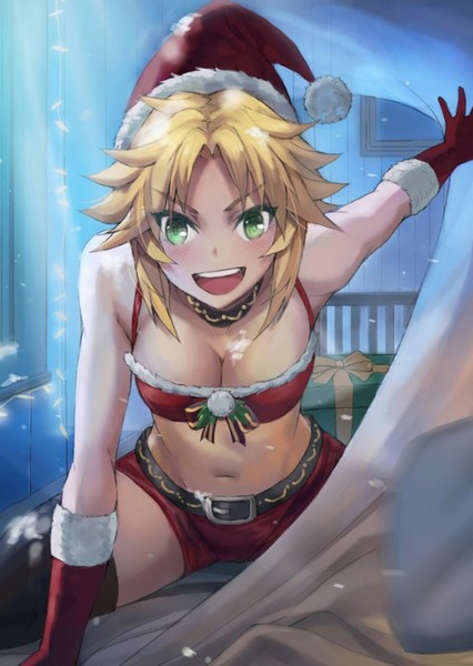 Mordred (FGO) photo