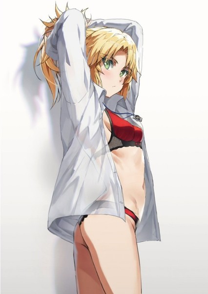 Mordred (FGO) photo
