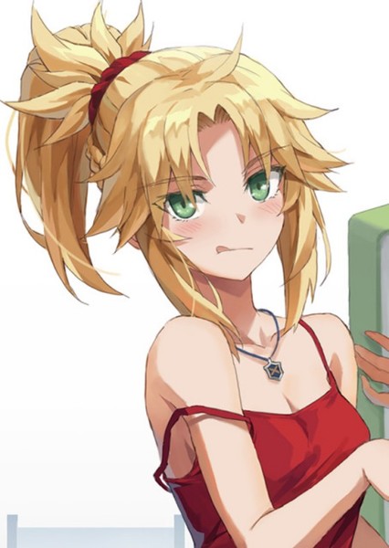 Mordred (FGO) photo