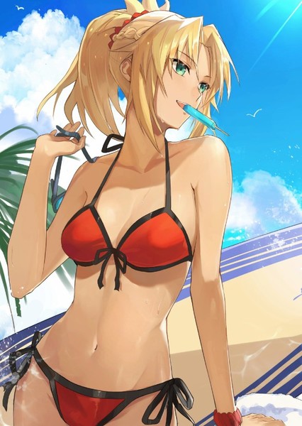 Mordred (FGO) photo