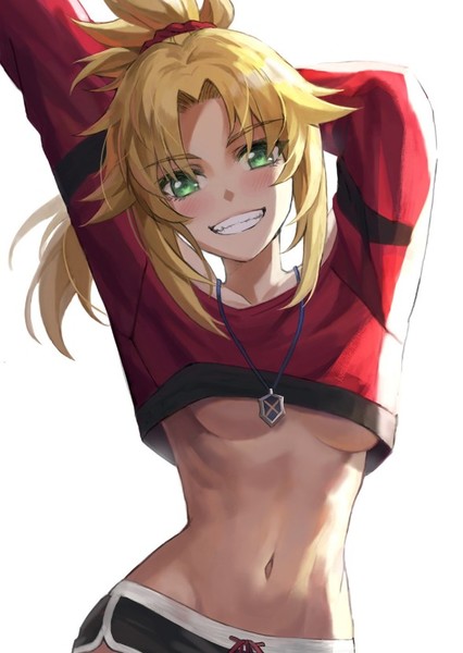 Mordred (FGO) photo