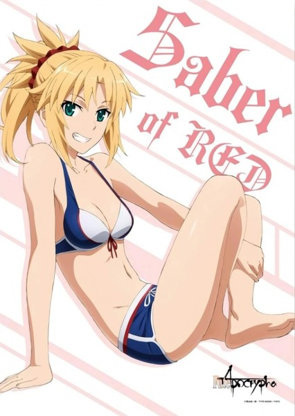 Mordred (FGO) photo