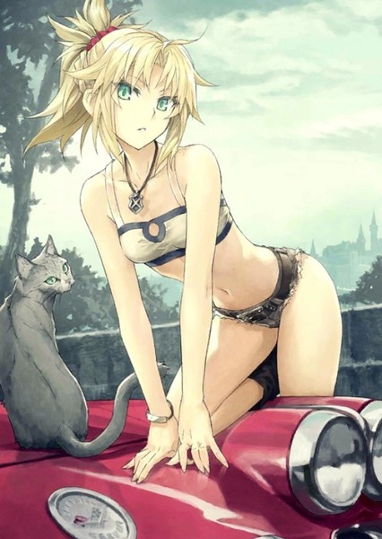 Mordred (FGO) photo