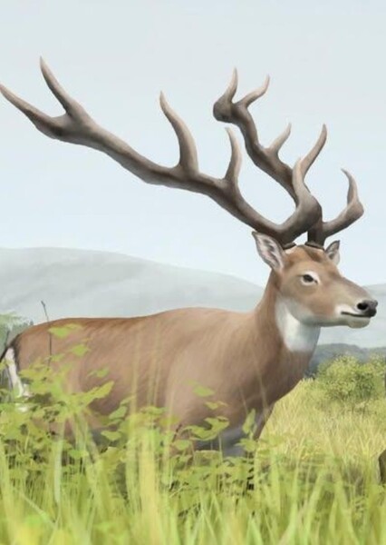 Morenelaphus
