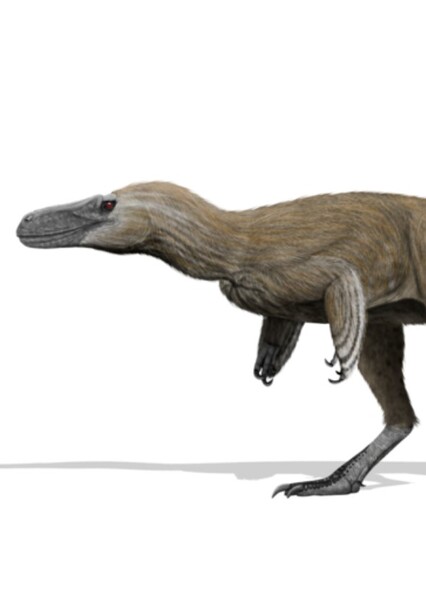 Moros