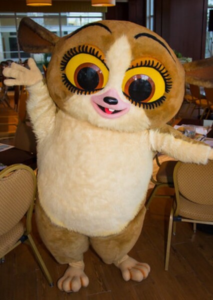 Mort (Madagascar) photo