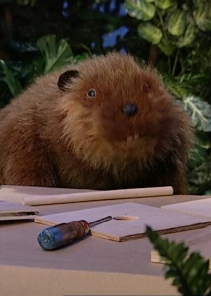 Morton the Beaver photo