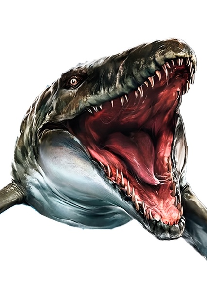Mosasaurus photo