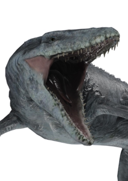 Mosasaurus photo