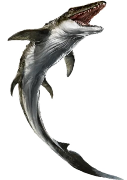 Mosasaurus photo