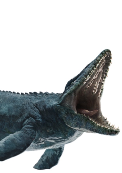 Mosasaurus photo