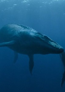 Mosasaurus