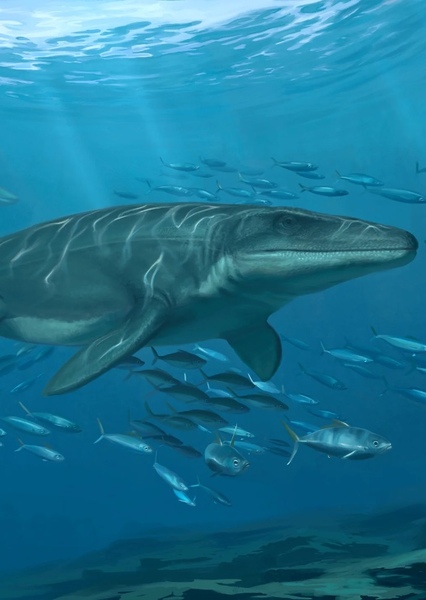 Mosasaurus photo