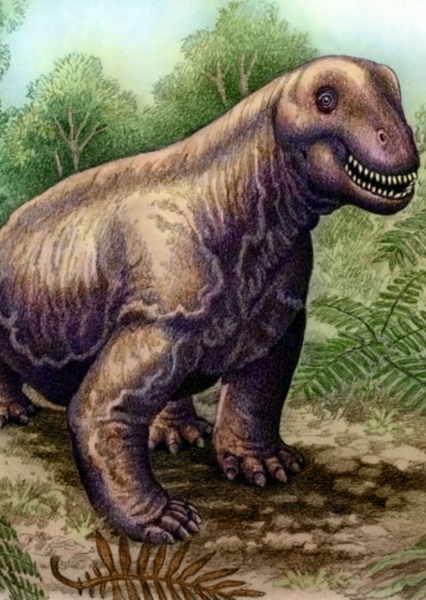 Moschops photo