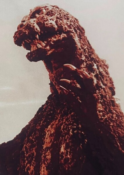 MosuGoji photo
