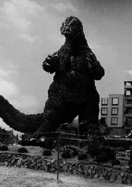 MosuGoji photo