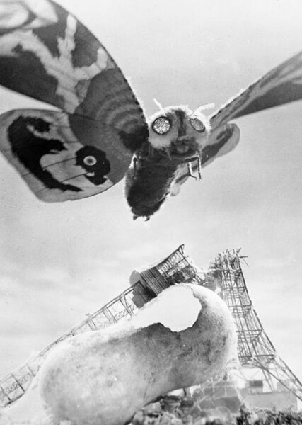 Mothra (Mosura) photo