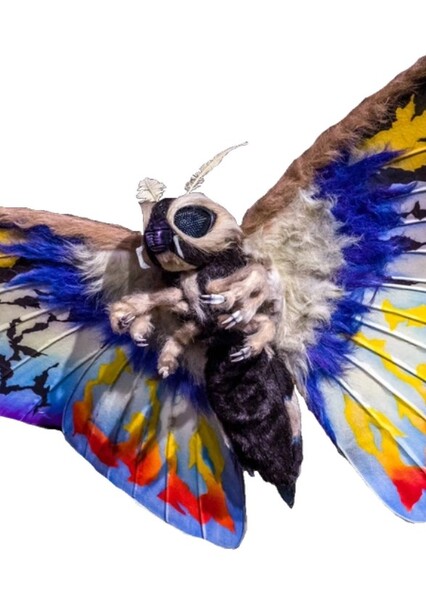 Mothra Leo