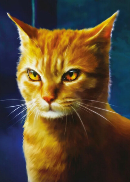 Mothwing (Warrior Cats) photo