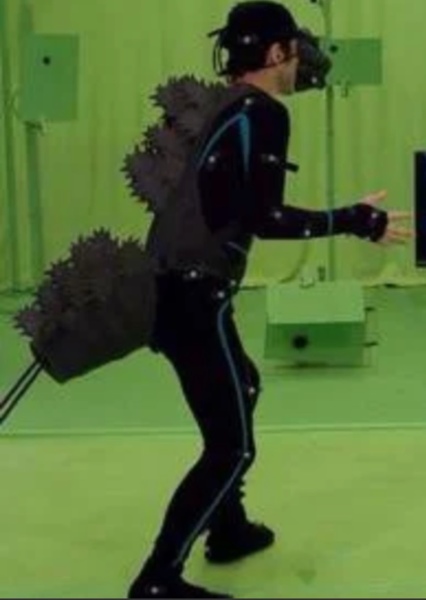 Motion Capture