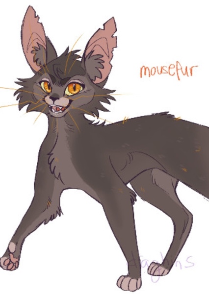 Mousefur (Warrior Cats) photo