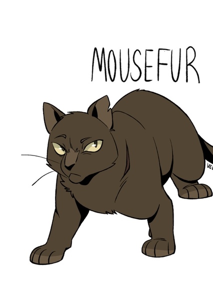 Mousefur (Warrior Cats) photo