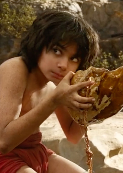 Mowgli photo