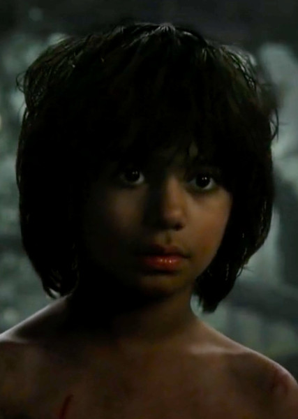Mowgli photo