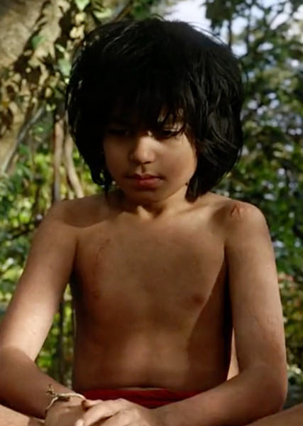Mowgli photo