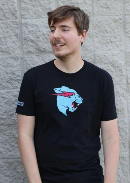 Mr. Beast photo