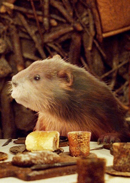Mr. Beaver (The Chronicles of Narnia) photo