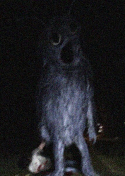 Mr. Mascot/Costume Man