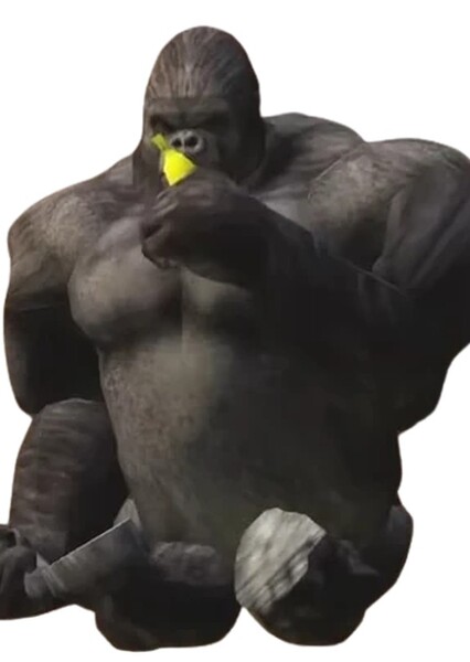 Mr. Monkey