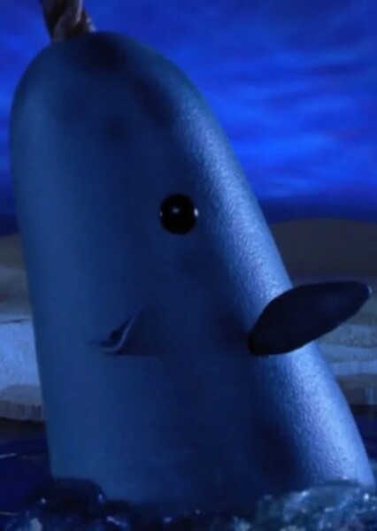 Mr. Narwhal