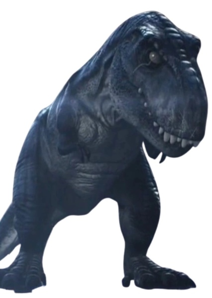 Mr. Rex
