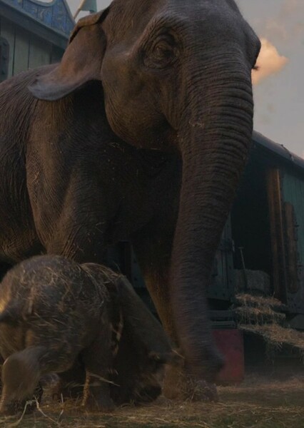 Mrs. Jumbo