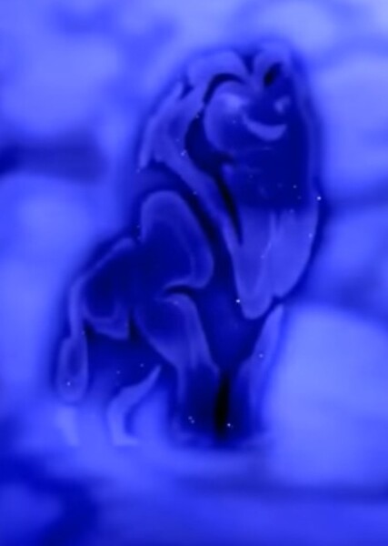 Mufasa photo